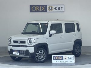 0704-098　ハスラー