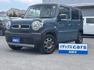 0802-009　ハスラー